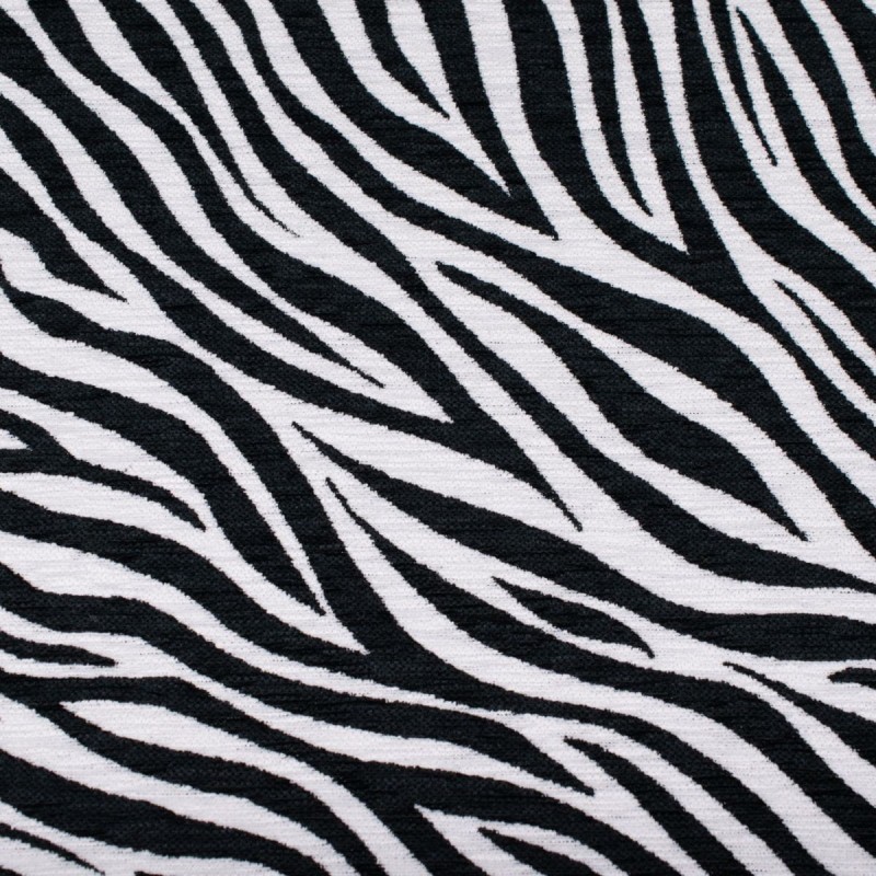 Zebra-3.jpg