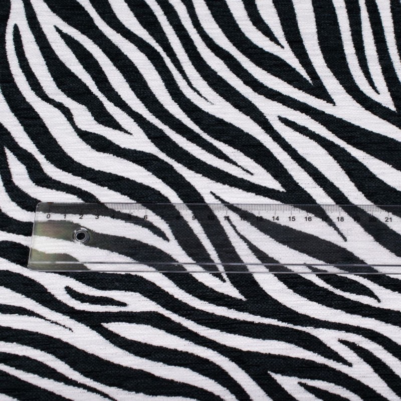 Zebra-6.jpg