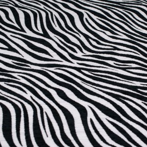 Zebra-7.jpg