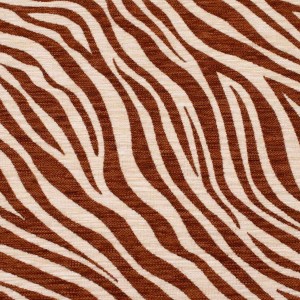 Zebra brąz-5.jpg