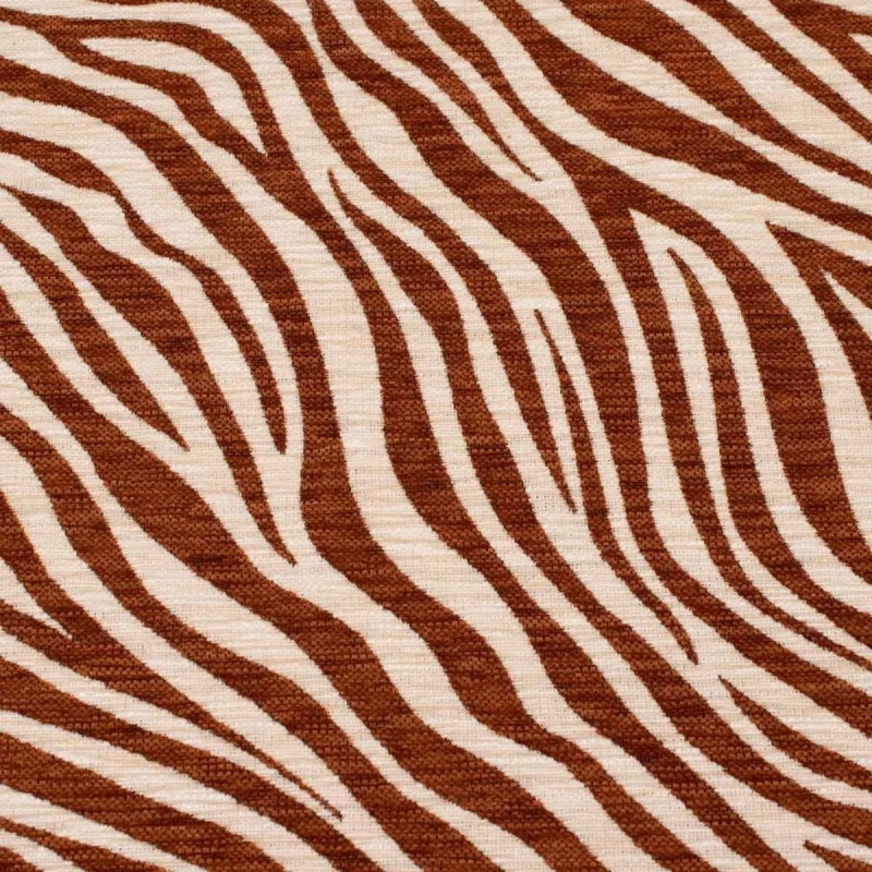 Zebra brąz-5.jpg