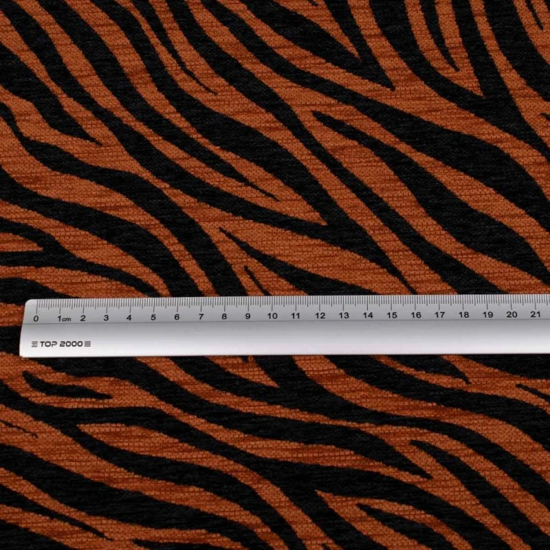 Zebra brązowo-czarna zdjęcie z miarą.