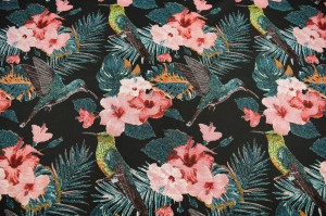 Kolibry czarne 1.jpg