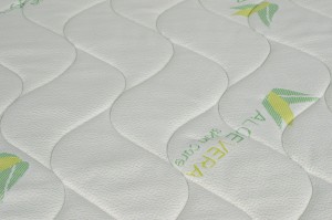 Aloe-2-2.jpg