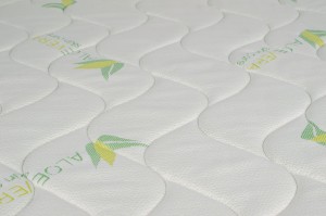 Aloe-6-2.jpg