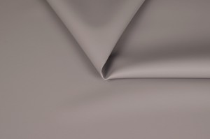 Apollo 1132 siwy-1.jpg