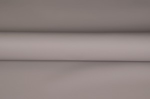 Apollo 1132 siwy-2.jpg